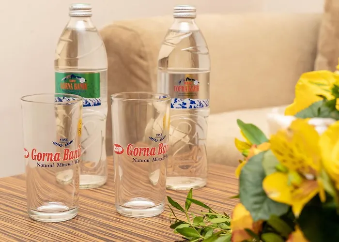 فندق Strandzha - Free Parking 3*