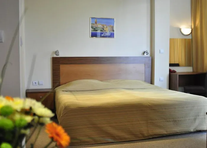 Hotel Strandzha - Free Parking Goudstrand