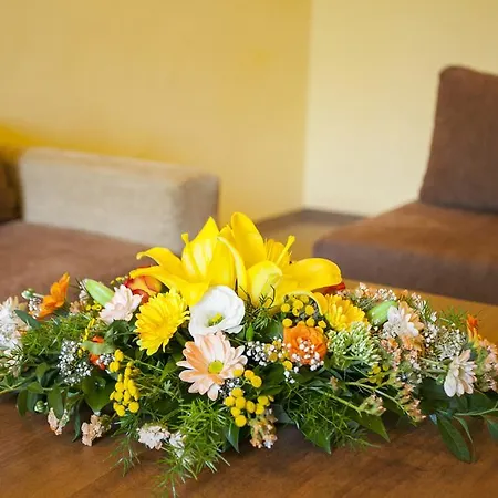 Strandzha - Free Parking Golden Sands